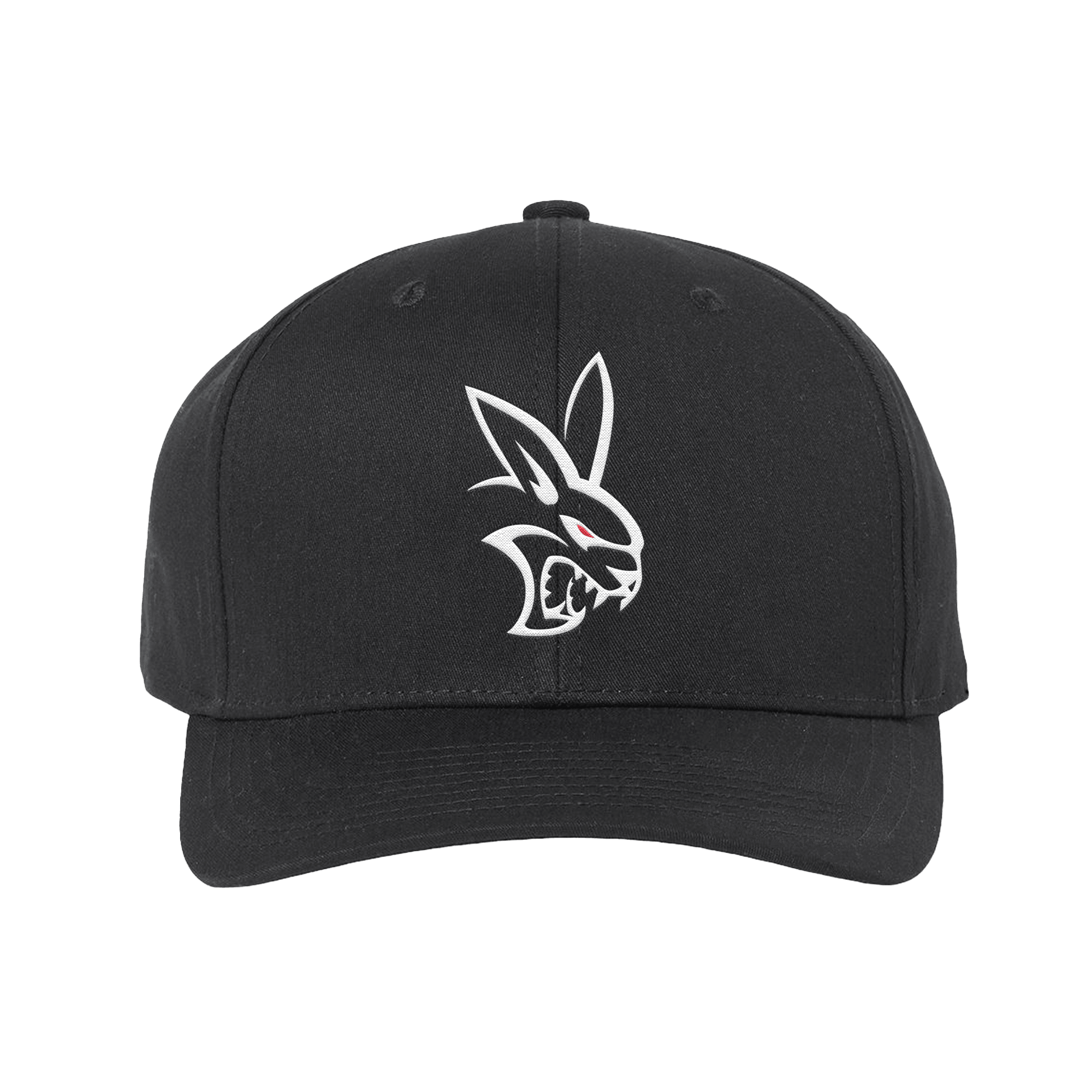 RBT Logo Hat